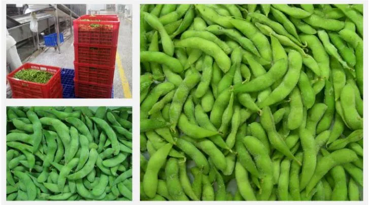 New Crop Frozen Green Soybeans Frozen Green Edamame