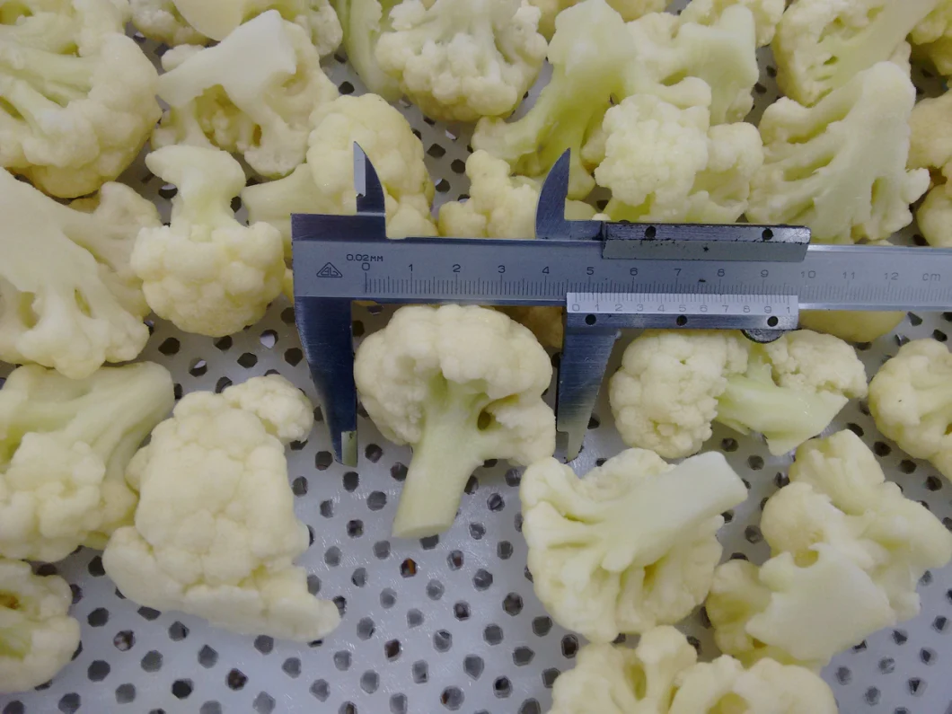 Sinocharm Brc a Approved IQF Organic Frozen Cauliflower Floret Frozen Cauliflower