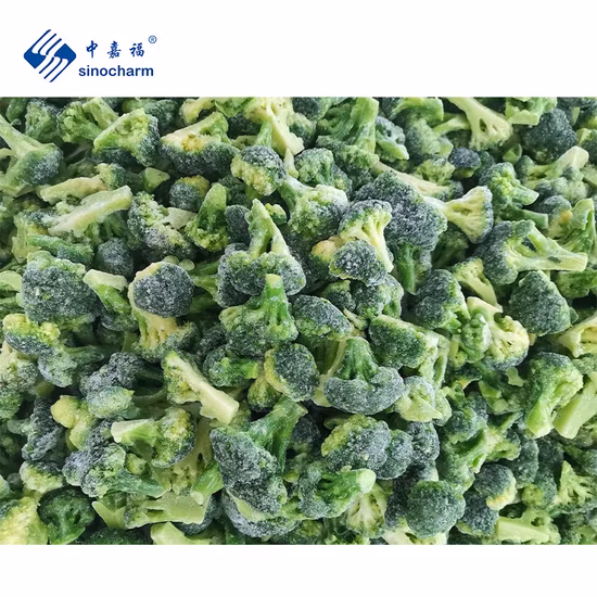 Wholesale Price Broccoli Supplier Frozen Green Vegetables Broccoli IQF Broccoli Cut