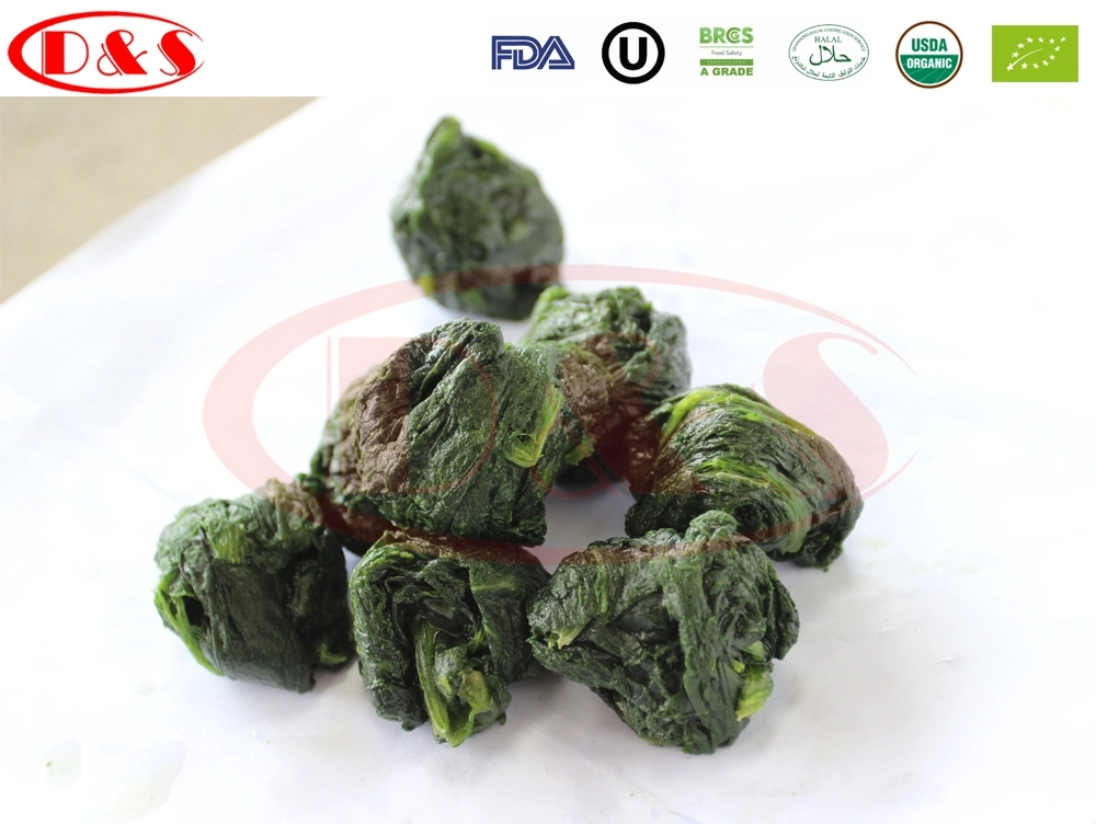 High Quality Frozen Shredded Ginger Organic Ginger with Good Price