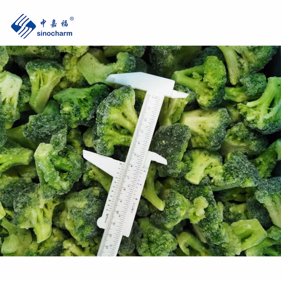 Wholesale Price Broccoli Supplier Frozen Green Vegetables Broccoli IQF Broccoli Cut