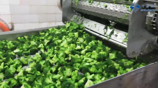 Wholesale Price Broccoli Supplier Frozen Green Vegetables Broccoli IQF Broccoli Cut