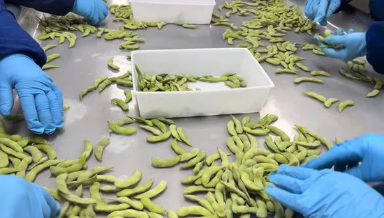 Soja Verde Congelada Edamame Verde Congelada