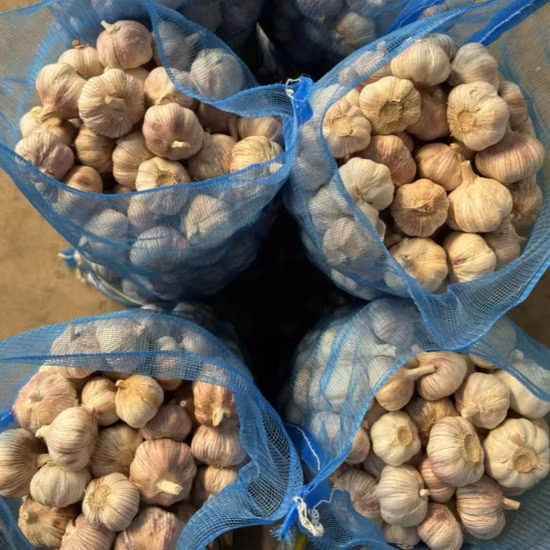 Nueva cosecha de patata dulce congelada fresca de Holanda, patata vegetal fresca de China