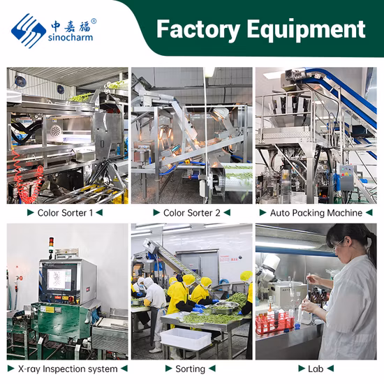 China Okra amarilla entera congelada natural IQF Okra para el estándar exportado de la UE