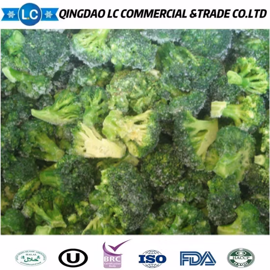 Brócoli congelado Proveedor de brócoli congelado Grado a Exportación Venta al por mayor Brócoli fresco congelado IQF orgánico de alta calidad