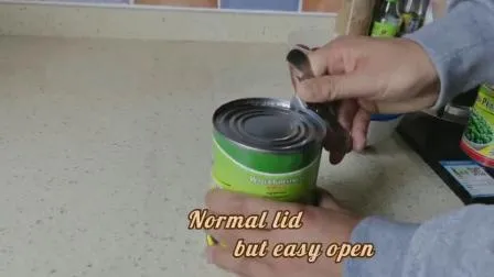 Castaña de agua orgánica Rebanada de castaña de agua enlatada Op Sale Castañas de agua congeladas con la mejor calidad 227g para toda la venta