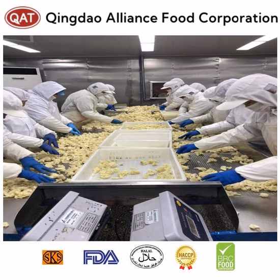 Exportadores venden tallos cortos de coliflor blanca congelada china al por mayor