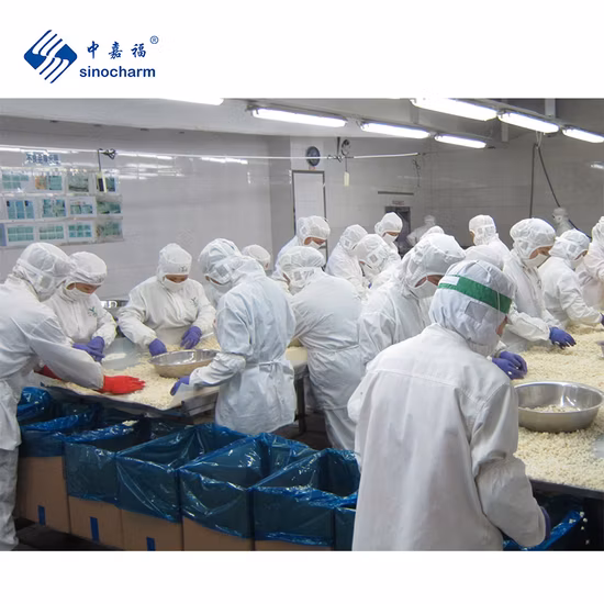 Sinocharm Brc a Castaña de agua en dados IQF Aprobada Castaña de agua en dados congelada