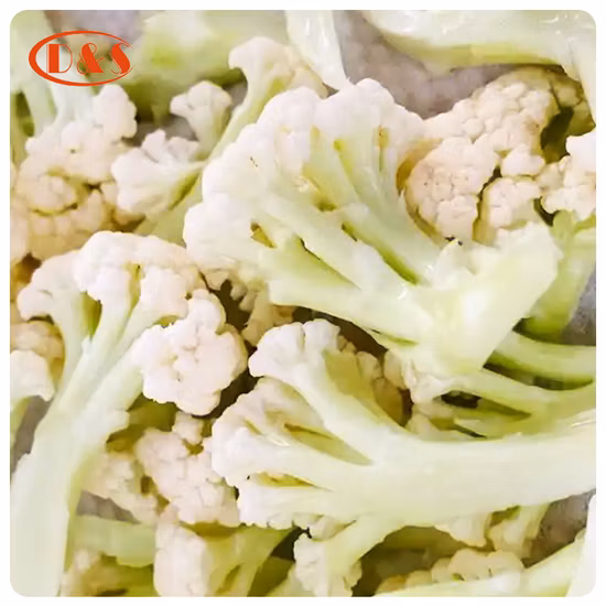 Nop EU Coliflor IQF Congelada Orgánica Cortada / Floret de China