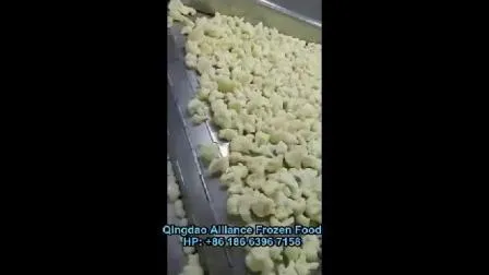 Coliflor congelada fresca de alta calidad
