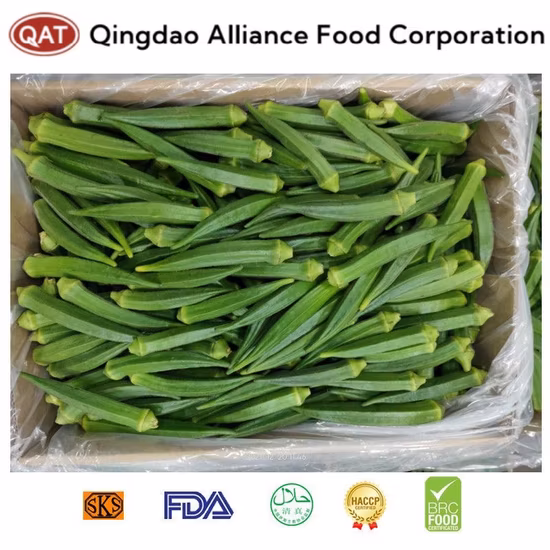 China Frozen IQF Whole Green Okra con calidad premium