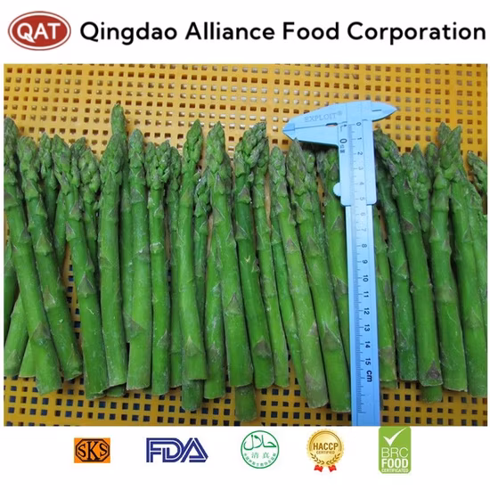 Nuevos Espárragos Verdes Enteros Congelados IQF de Temporada con Alta Calidad