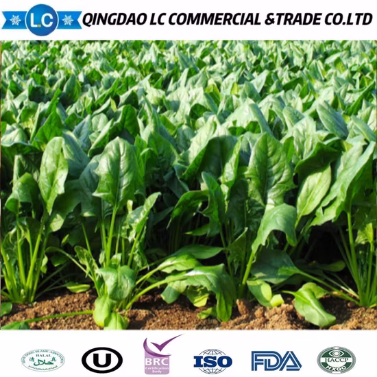 Espinacas congeladas trituradas orgánicas IQF
