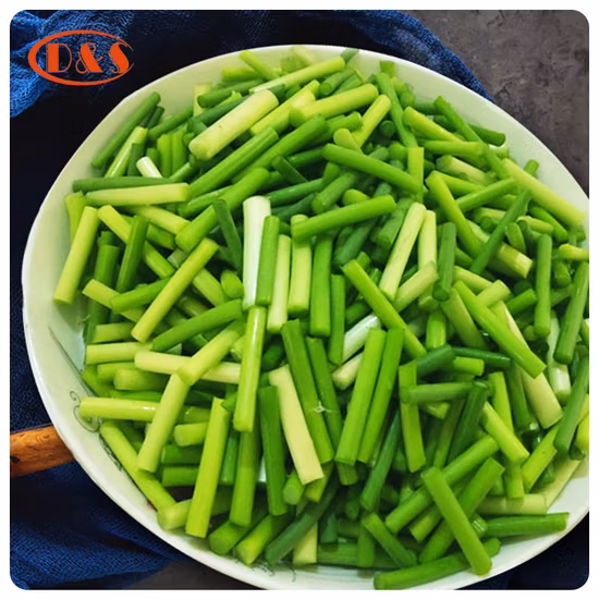 Brotes de brotes de ajo joven congelado verde vegetal de venta caliente