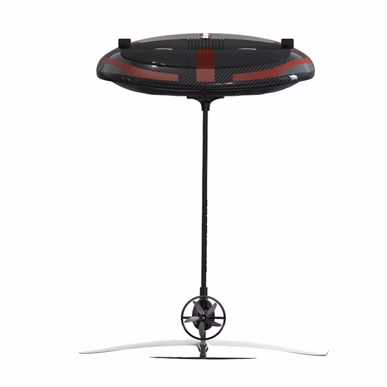 Precio Concesionado/Suministro Directo Desde Origen/Ajo Fresco/Ajo Congelado/Ajo Seco